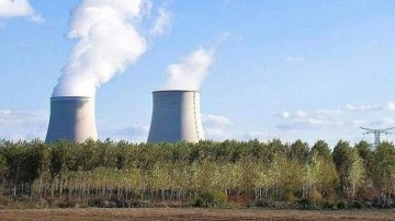 Avusturya, nükleer ve gazın yeşil yatırım olarak sınıflandırılmasını mahkemeye taşıdı