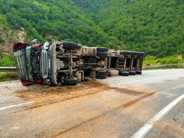 Ayçiçeği küspesi yüklü tır yan yattı, sürücü yaralandı
