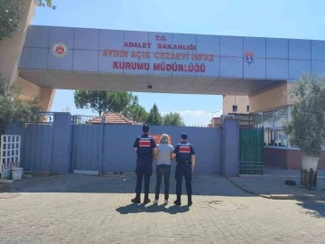 Aydın’da jandarma ekipleri 24 aranan şahsı yakaladı
