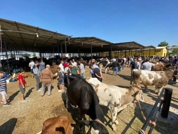 Aydın’da kurban pazarında arife günü yoğunluğu
