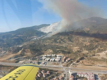 Aydın’da makilik ve zirai alanda yangın
