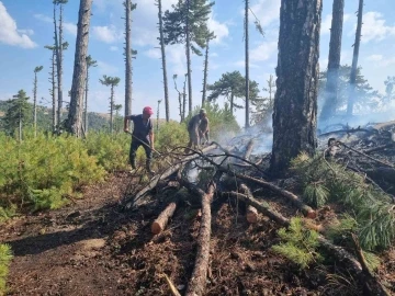 Aydın Kuyucak’taki orman yangını kontrol altına alındı
