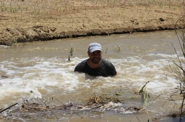 Aydın Ovası’nda çiftçilerin 44 derece sıcakta ekmek mücadelesi
