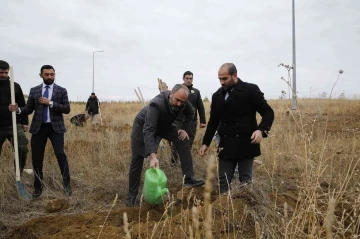 Baberti Külliyesi yeni ağaçlarla renkleniyor
