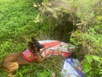 Bahçede kavanozlara saklanan uyuşturucu ‘Yatkın’dan kaçmadı
