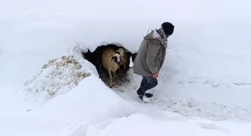 Bahçesaray’da kar etkili oluyor
