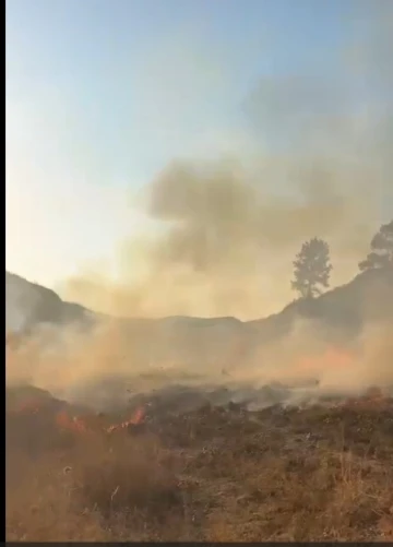 Bahçesindeki otları yakarak temizlemeye kalkışan şahıs Marmaris’i ayağa kaldırdı
