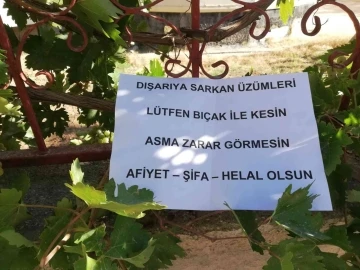 Bahçesinden dışarı sarkan üzümler için yazdığı notla gönülleri fethetti
