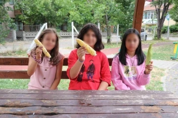 Bahçesinden mısır alan 3 kız çocuğunu darp eden şahsa 20 gün tedbir cezası
