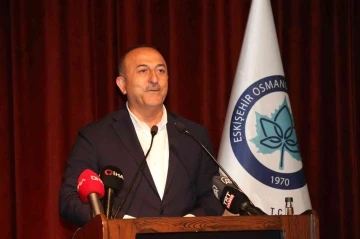 Bakan Çavuşoğlu: &quot;Biz sizin kaygılarınızı anlıyoruz, siz de müttefiklerin kaygılarını anlamanız lazım”
