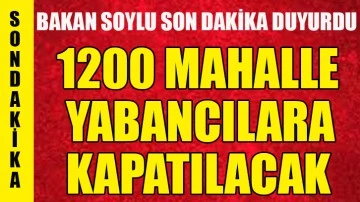 Bakan Soylu: Yabancılara 1200 mahallede ikamet kapatılacak