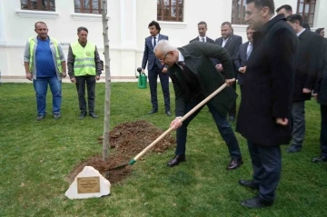 Bakan Uraloğlu Bilecik’te çınar fidanı dikti
