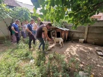 Bakılması yasak hayvanlara el konuldu
