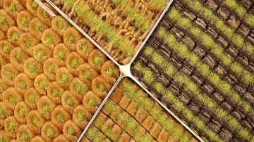 Baklava satışları yüzde 50 arttı