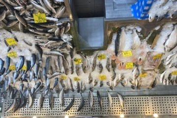 Balık fiyatları düştü, Karadeniz somonu 300 yerine 100 liradan satılıyor