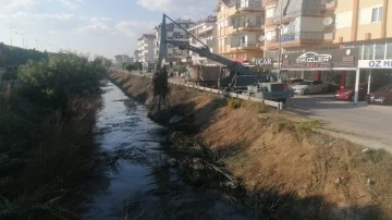 Balık ölümleriyle gündeme gelen kanal temizleniyor
