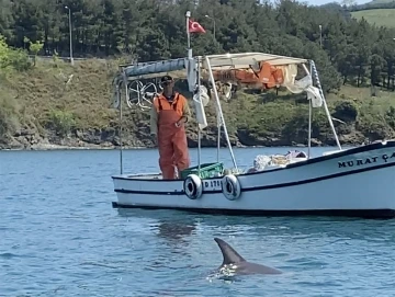 Balıkçı, tekneye yanaşan yunusu besledi
