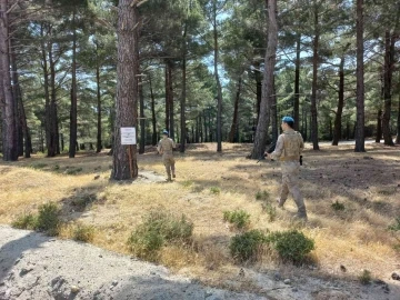 Balıkesir’de ormanları komandolar koruyor
