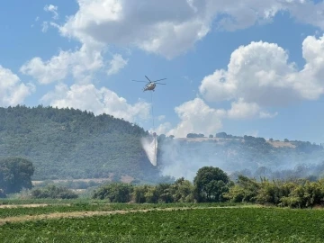 Balıkesir’deki orman yangını kontrol altına alındı
