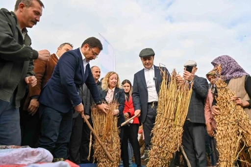 Balıkesirli susam üreticilerine büyük destek
