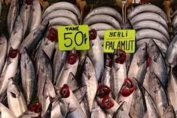 Bandırma’da palamut balığına vatandaşlardan yoğun ilgi
