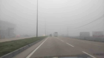 Bandırma’da sis etkili oldu
