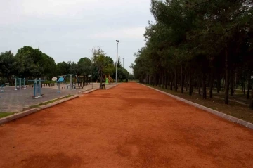 Barış Ormanı yenilendi
