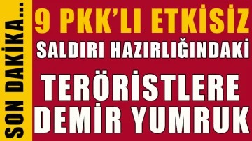 Barış Pınarı bölgesinde 9 terörist etkisiz hale getirildi