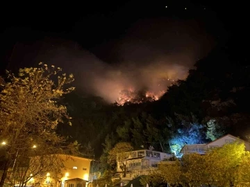 Bartın’daki orman yangını yerleşim bölgesine ulaşmadan kontrol altına alındı
