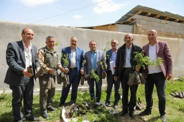 Başkale’de 4 bin badem fidanı dağıtıldı
