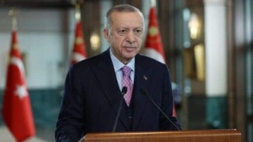 Başkan Erdoğan,  İngiltere Başbakanı Sunak ile görüştü