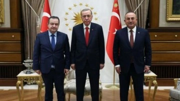 Başkan Erdoğan, Sırbistan Dışişleri Bakanı'nı kabul etti