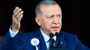 Başkan Erdoğan'dan Filenin Sultanları'na tebrik