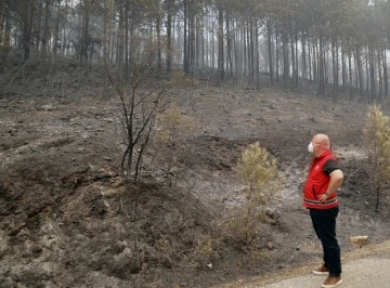 Başkan Gümüş, “Orman yangınlarına karşı dikkatli olalım”
