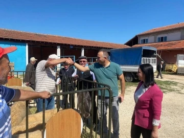 Başkan Tekin, kurban pazarında arabuluculuk yaptı
