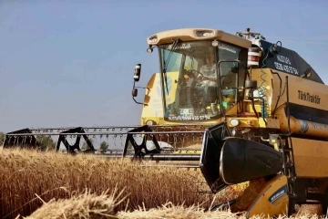 Başkan Zolan, biçerdöverle buğday hasadı  başladı
