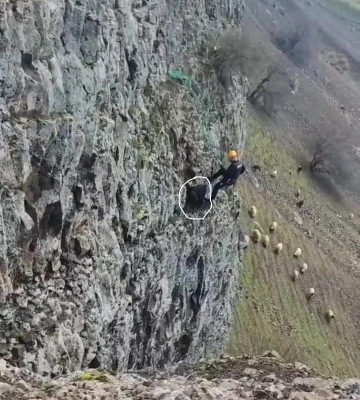 Batman’da 5 gün kayalıklarda mahsur kalan keçi kurtarıldı
