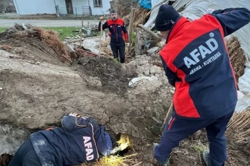 Batman’da ahır çöktü: 8 yavru köpekten 5’i kurtarıldı
