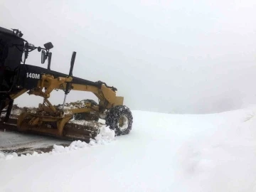 Batman’da kar nedeniyle kapanan köy yollarında çalışmaları devam ediyor
