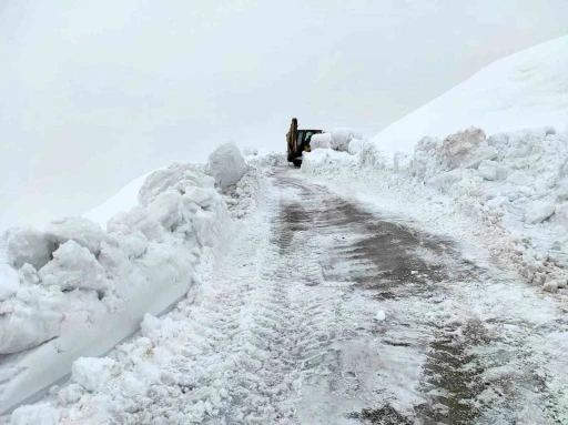 Batman’da karla kaplı köy yolları ulaşıma açıldı
