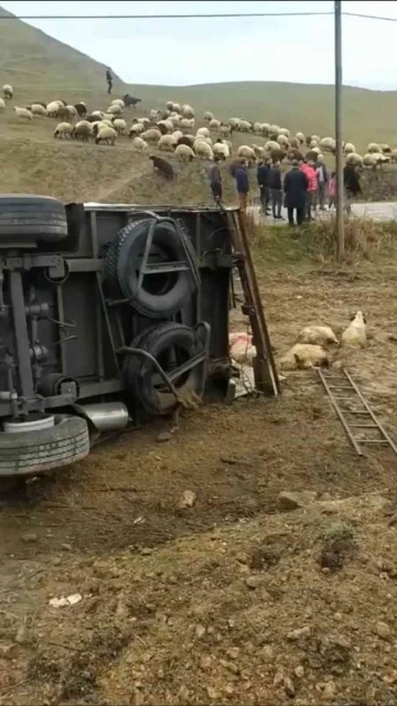 Batman’da koyun taşıyan tır devrildi, onlarca koyun telef oldu
