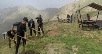 Batman’da terörden arındırılan yaylalar meyve fidanlarıyla donatıldı