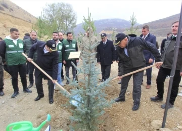 Bayburt’ta 105 bin adet fidan toprakla buluşturuldu
