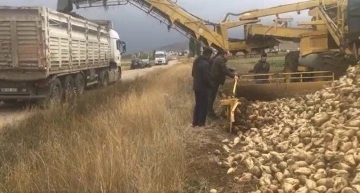 Bayburt’ta bu yıl hedeflenen şeker pancarı üretimi 100 bin ton
