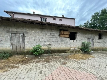 Bayram günü ağabeyini öldürdü, cinayetin sebebi samanlık çıktı
