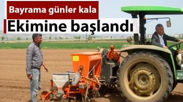 Bayrama günler kala ekimine başlandı