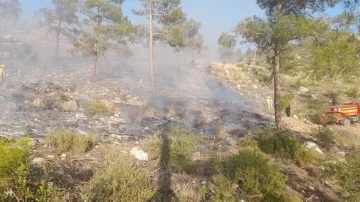 Bayramiç’teki yangında 5 hektar alan zarar gördü
