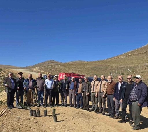 Bektaş Yaylası’nda fidan dikim etkinliği düzenlendi
