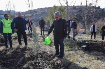 Belediyeden ağaçlandırma etkinliği
