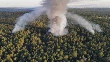 Berlin&rsquo;deki Grunewald ormanında patlama sonrası yangın